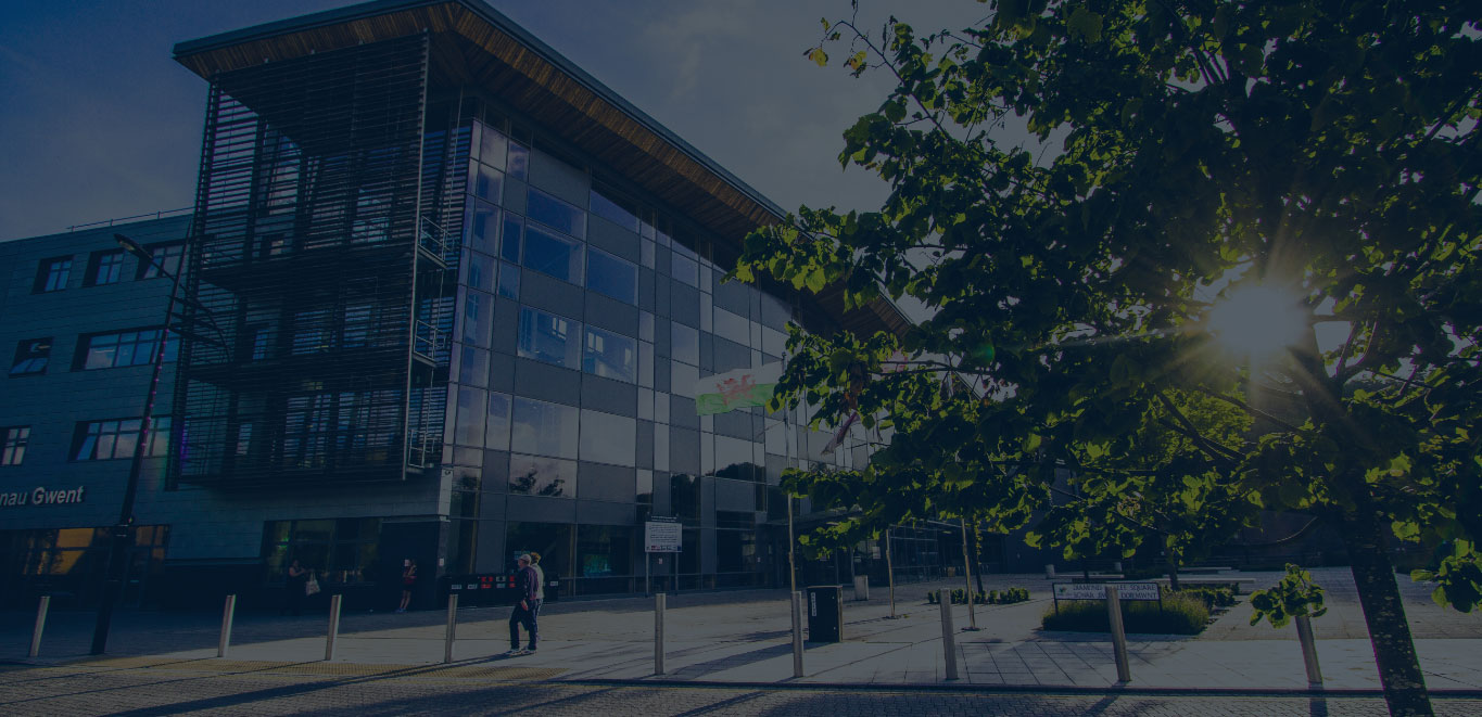 darkened BGLZ campus image with tree