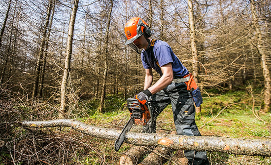 Chainsaw operator